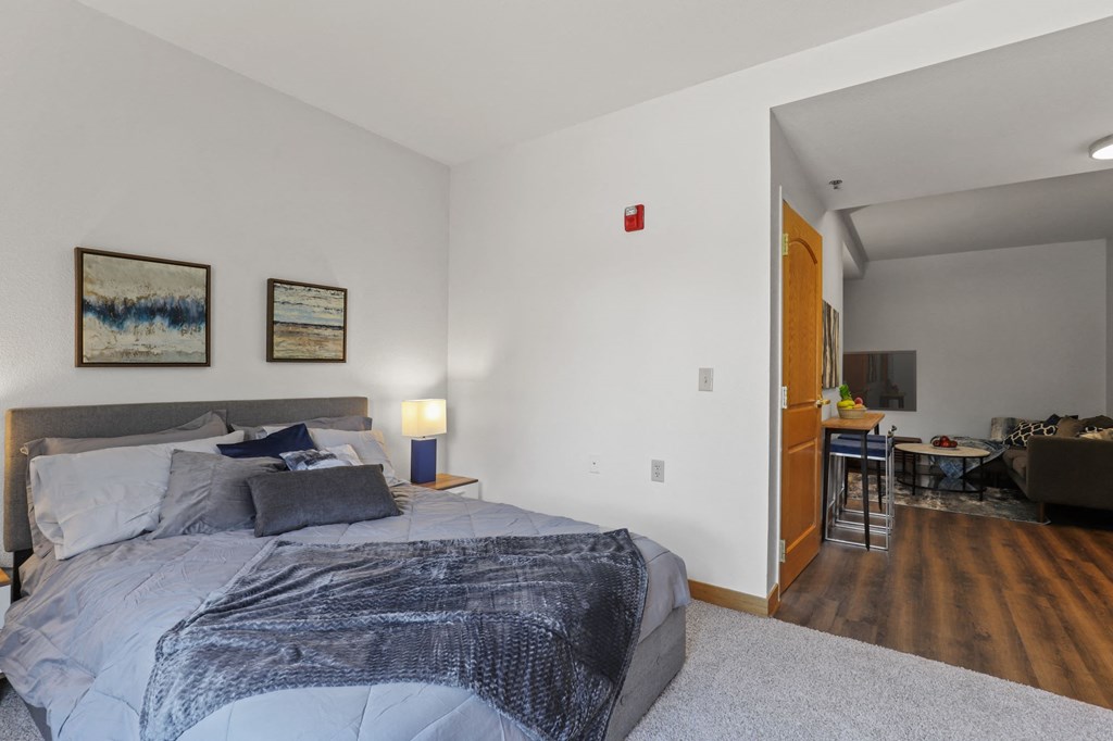 a bedroom with a bed and a door to a living room