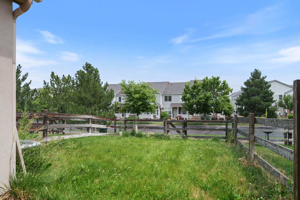 A view of a green lawn from a house.