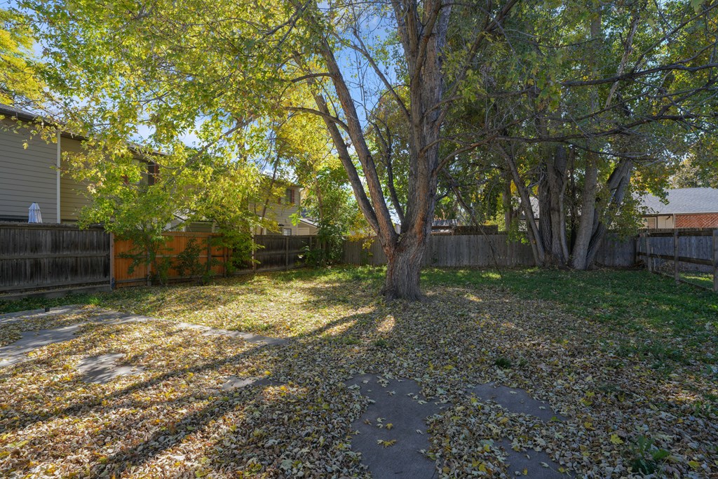A tree in a backyard with leaves on the ground.