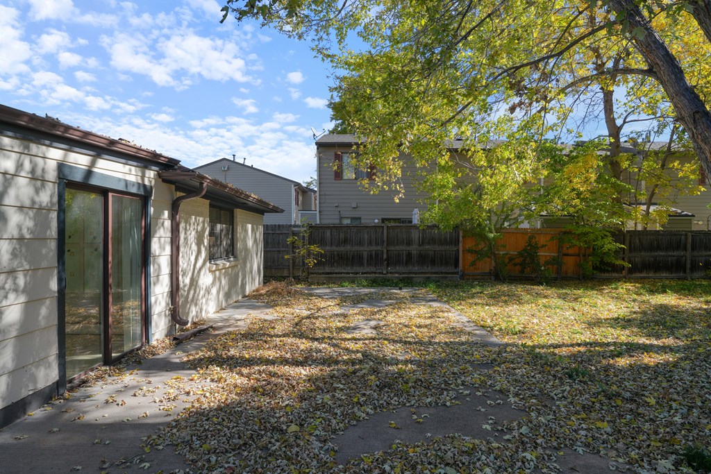 A backyard with a fence and a tree with yellow leaves.