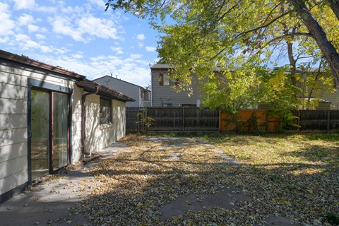 A backyard with a fence and a tree with yellow leaves.