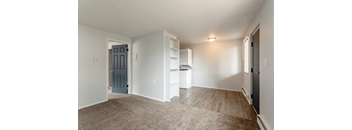 A room with a blue door and a carpet on the floor.