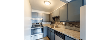 A kitchen with a stove top oven and a dishwasher.