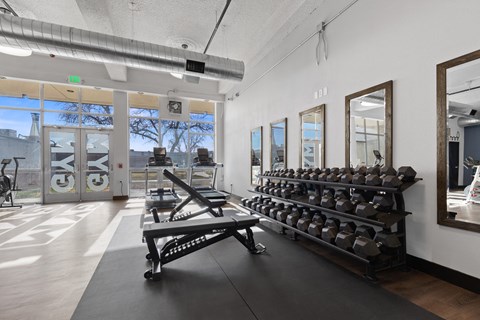 A gym with a row of dumbbells on the wall.