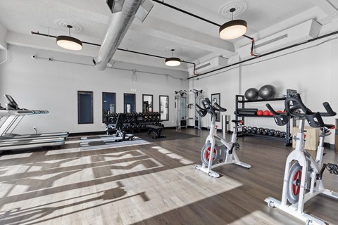 A gym with a variety of exercise equipment including treadmills, stationary bikes, and weight racks.