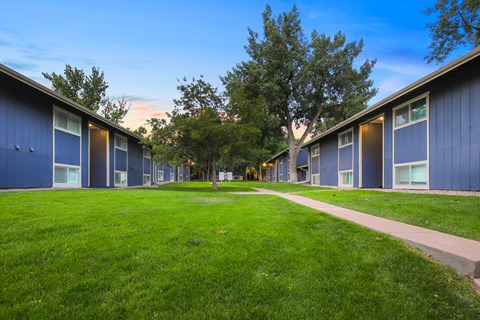 A row of blue buildings with a tree in the middle.