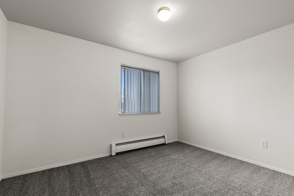 A room with a window and a carpeted floor.