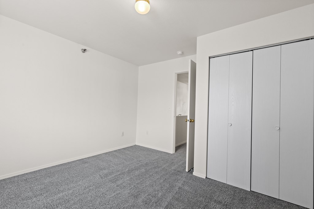 A room with a grey carpet and white walls with a white door and a white cabinet.