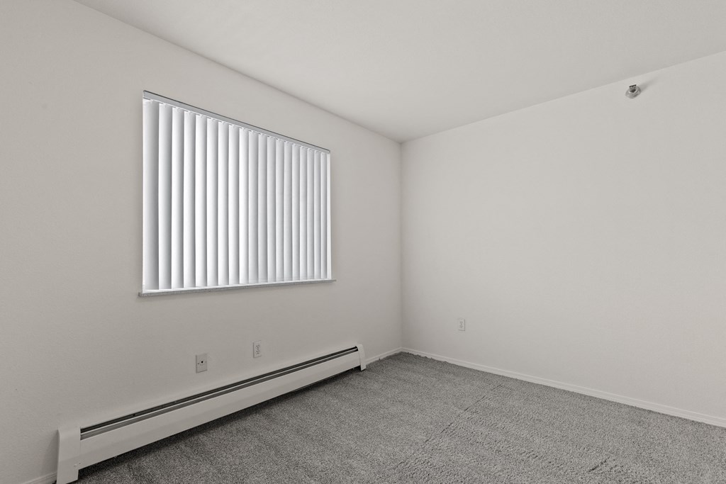 A room with a carpeted floor, a window with blinds, and a white wall.