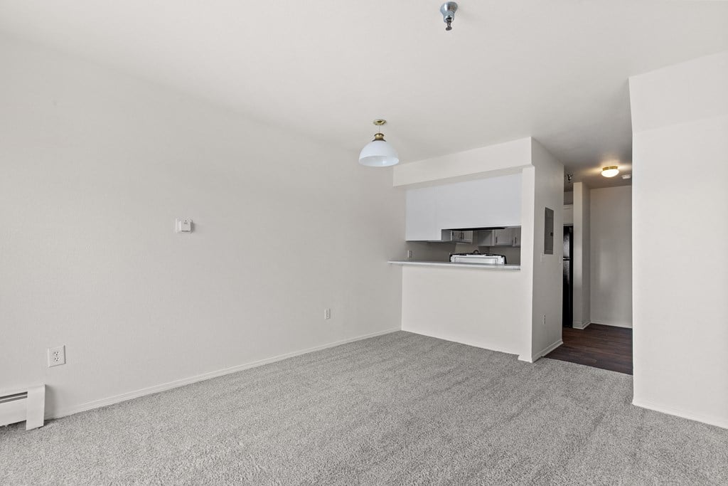 A room with a grey carpet and white walls.