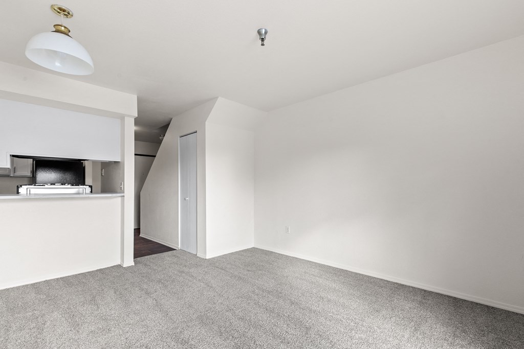 A white room with a grey carpet and a ceiling light.