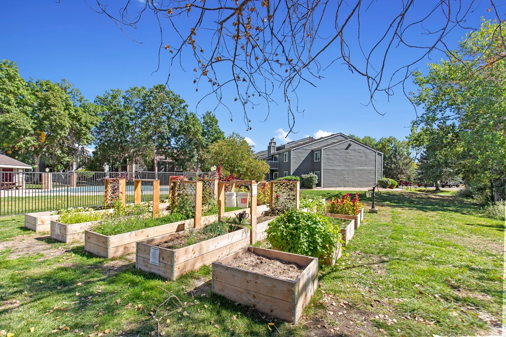 The Alpine Apartments