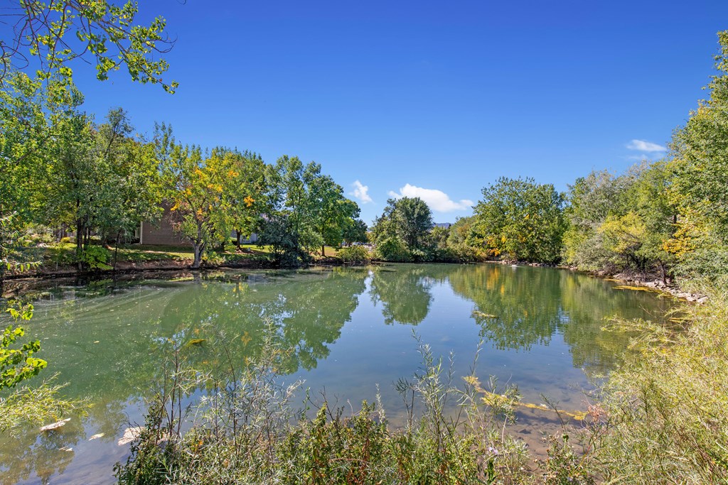 The Alpine Apartments