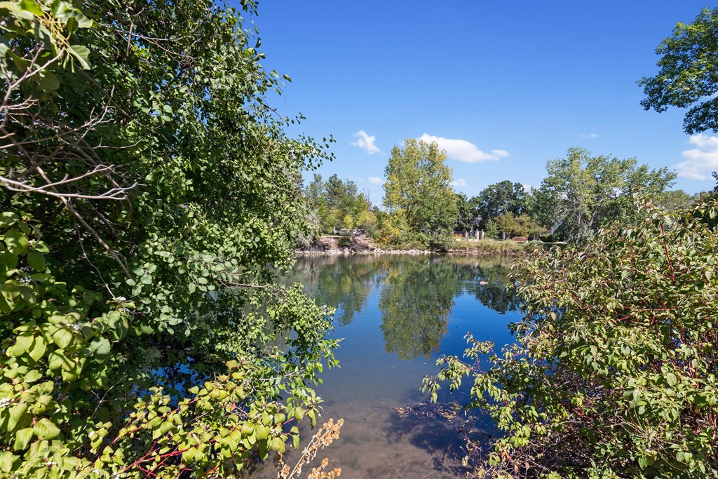 The Alpine Apartments