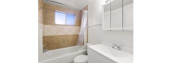 a bathroom with a sink and a toilet and a shower