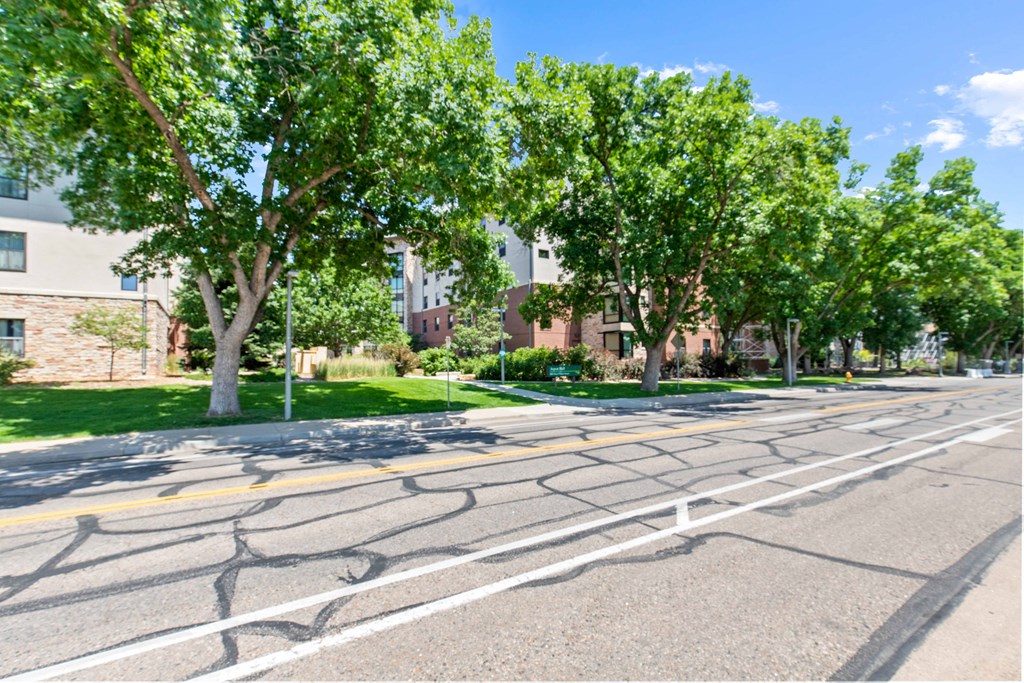 an empty street with trees in front of apartment buildings