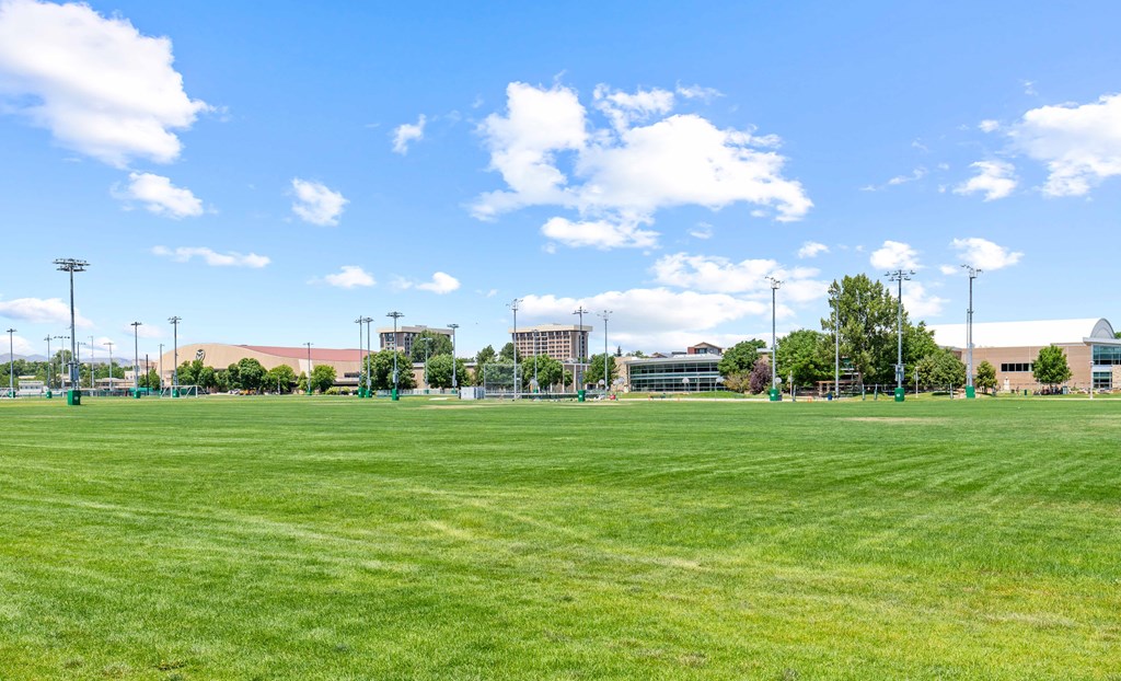 A large grassy field with a clear blue sky and some scattered clouds.