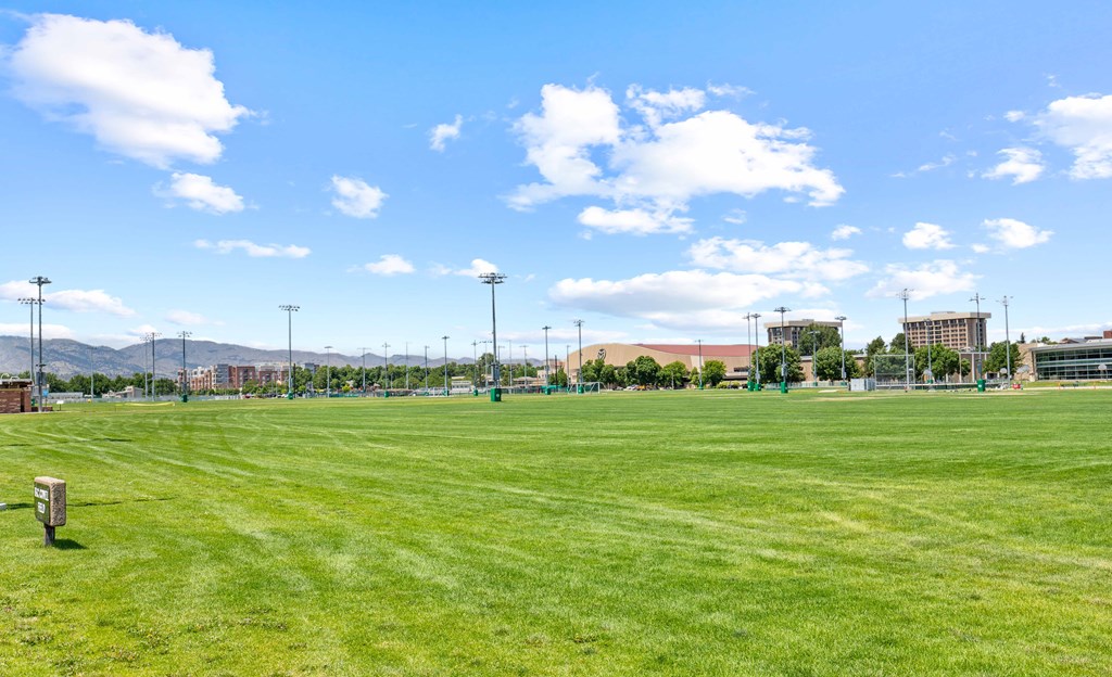a large grass field with a city in the background