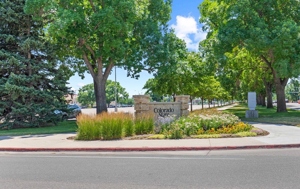 A sign that says Colorado in front of some trees.