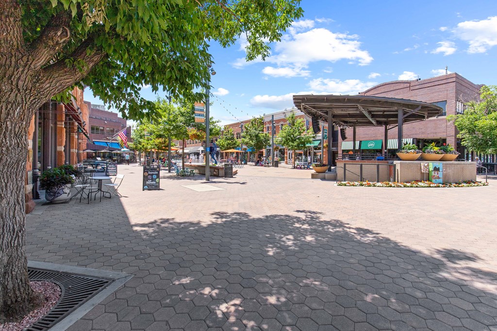 A sunny day at the plaza with a tree on the left.