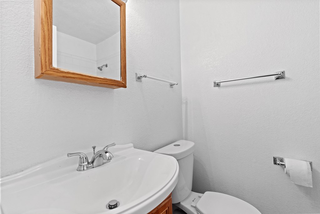 a bathroom with a toilet and a sink and a mirror