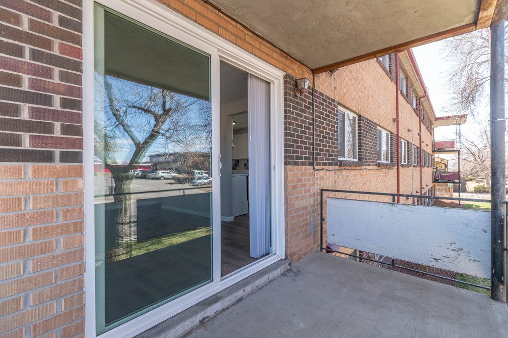 A view of a tree through a window of a building.