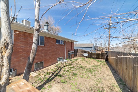 A backyard with a fence and a tree.