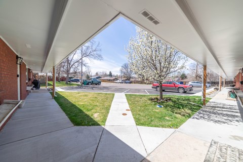 A view of a covered walkway with a tree in the background.