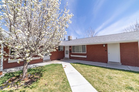 A tree with white blossoms is in front of a brick house.