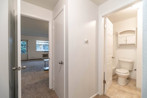 A white bathroom with a toilet and a cabinet.