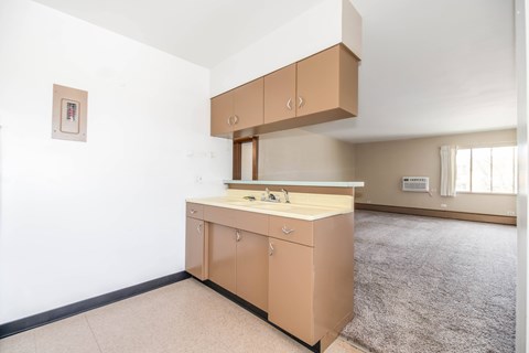 A kitchen with a sink and cabinets.