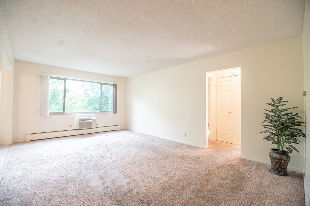A room with a carpeted floor and a plant in a pot.