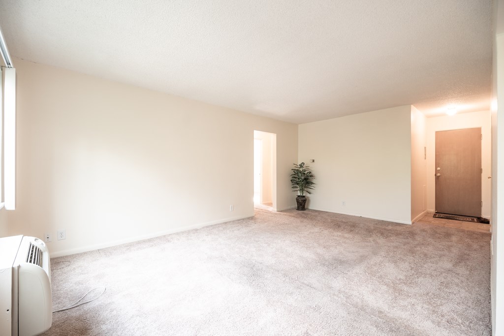 A room with a carpet, a plant, and a heater.
