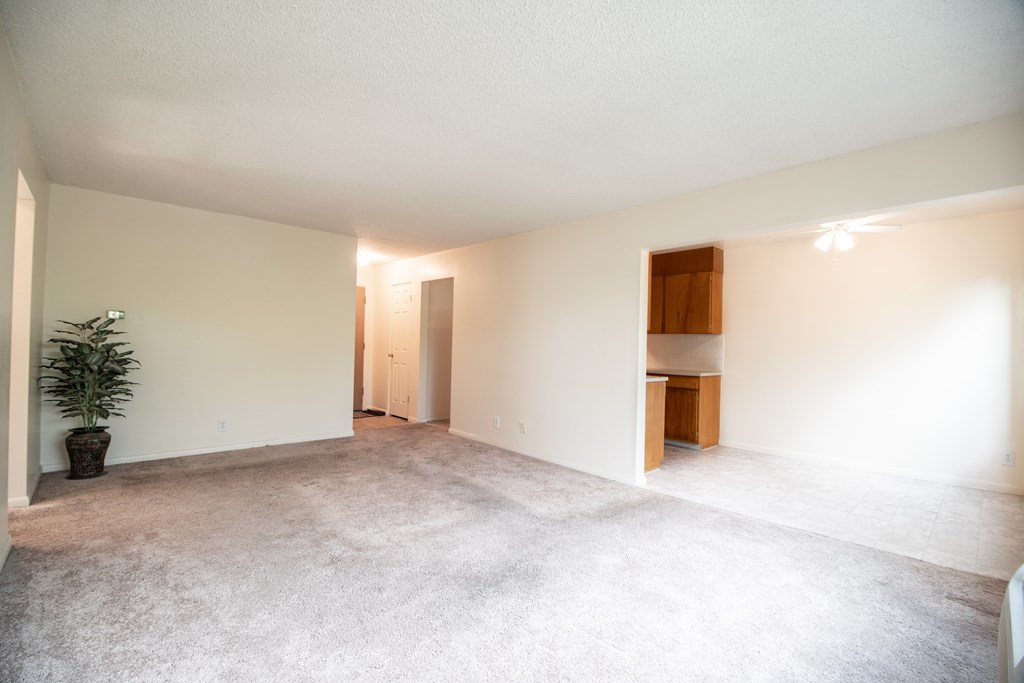 A room with a carpeted floor and a plant in a pot.