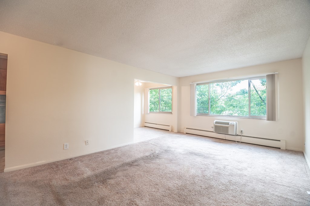 A spacious room with a carpeted floor and two windows.