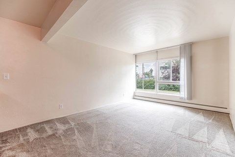 A room with a large window and a carpeted floor.