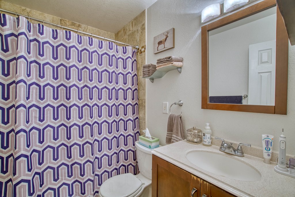 a bathroom with a purple and white shower curtain