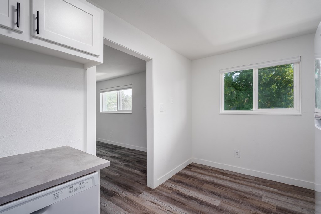 A kitchen with a dishwasher and a window.