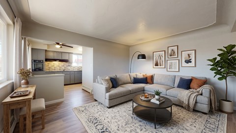 A living room with a grey couch, a coffee table, and a rug.