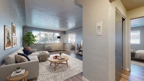 A living room with a grey couch, a wooden coffee table, and a rug.