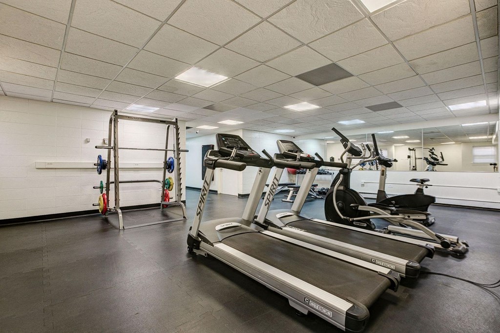 the gym is equipped with treadmills and other exercise equipment