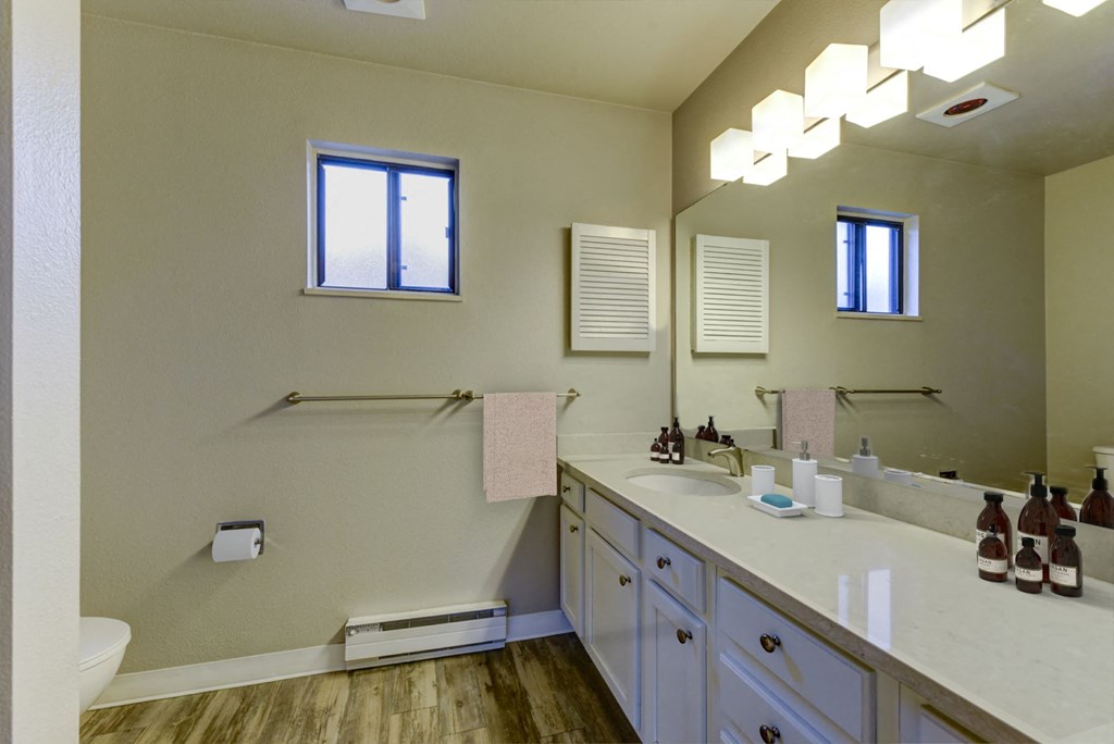 a bathroom with a sink and a toilet and a mirror