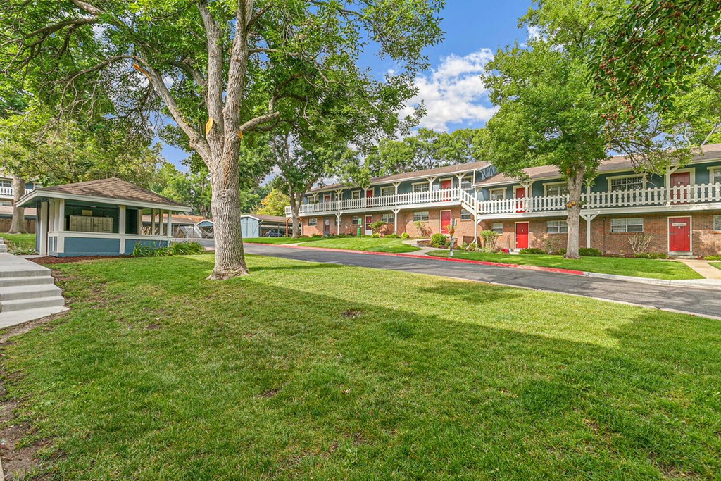 A tree stands in a grassy area in front of apartment buildings.