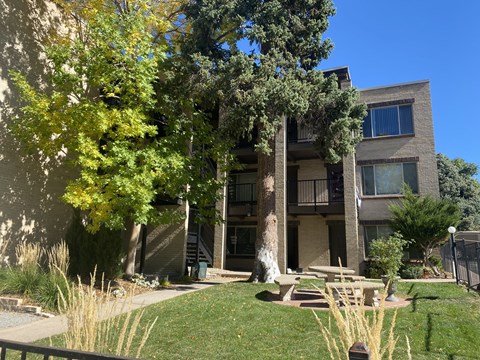 A modern house with a tree in front.