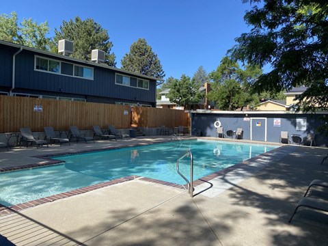 A swimming pool surrounded by a wooden fence and lounge chairs.