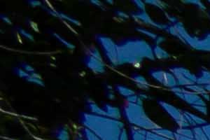 Rent Cheap Apartments In Florida From 339 Rentcafe