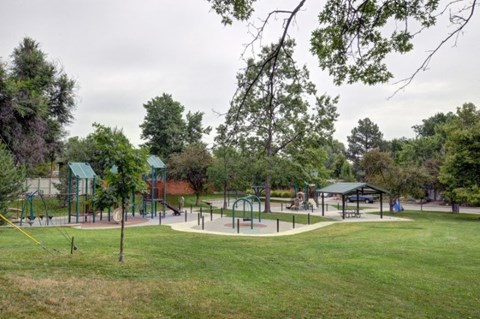 A playground with swings and slides is surrounded by trees.
