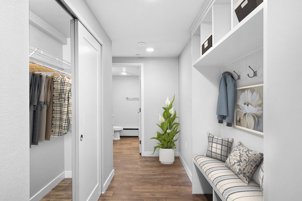 a walk in closet with a couch and a potted plant