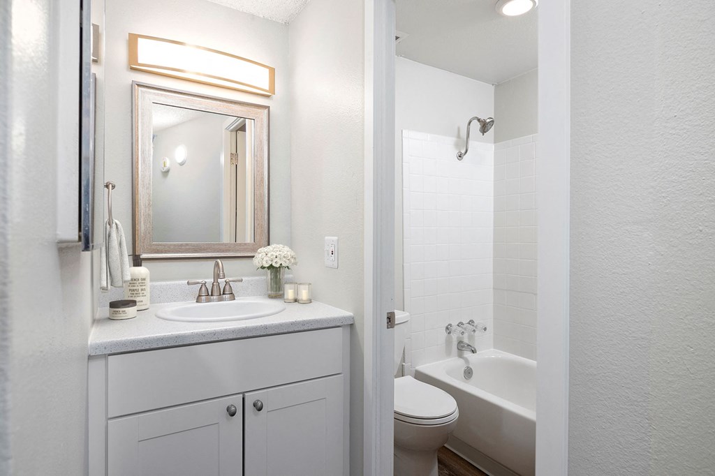 a bathroom with a sink toilet and a mirror