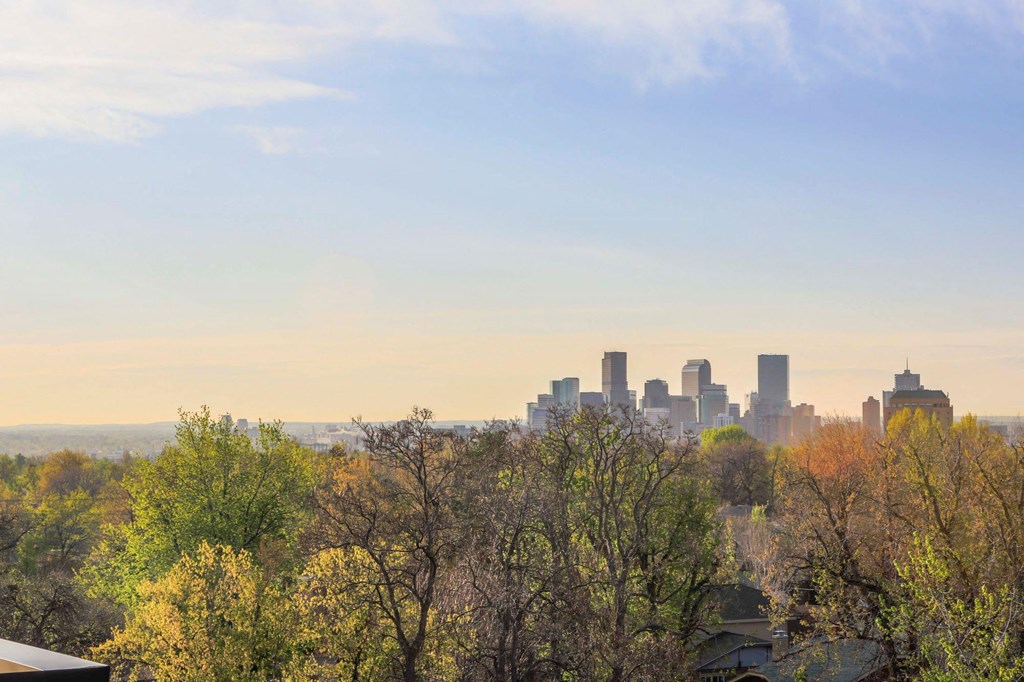 the city skyline with trees in the foreground